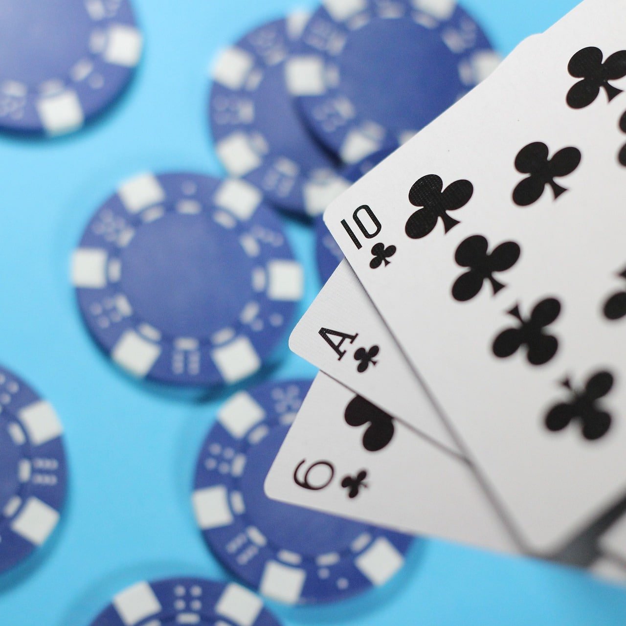 ziarogel Togel Result dashboard showing live draw outcomes and player entry history